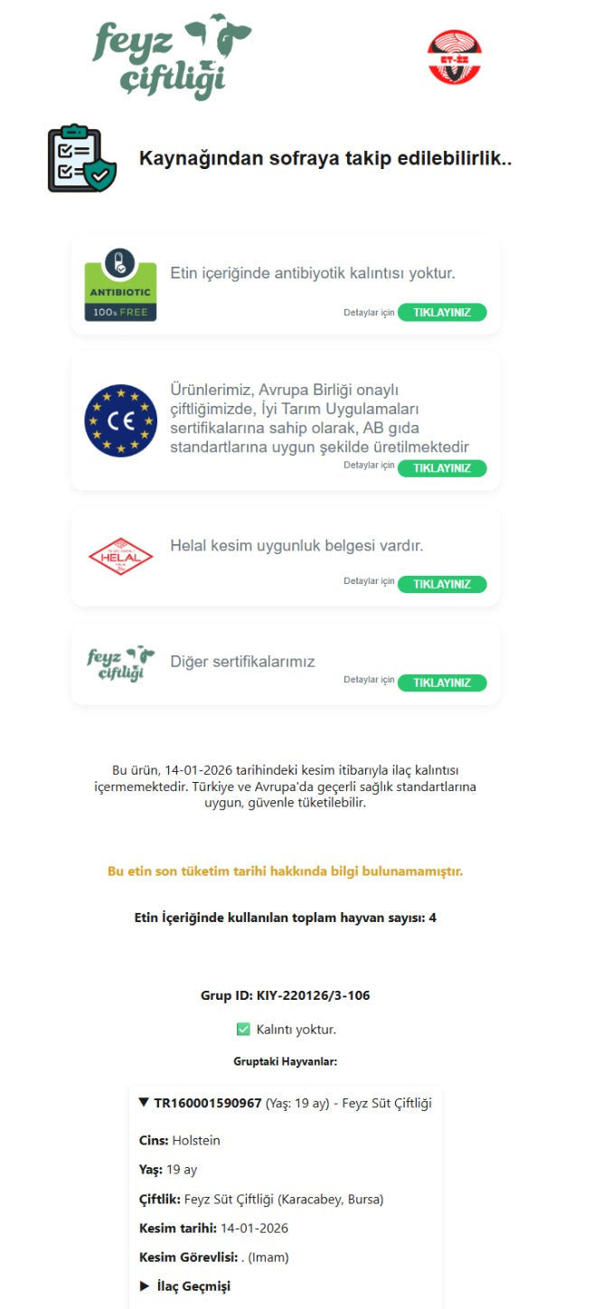 Geçmişi Görün